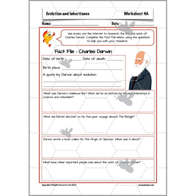 PlanBee Evolution and Inheritance KS2 | Year 6 Science by PlanBee