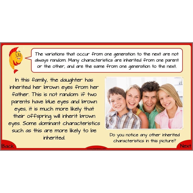 PlanBee Evolution and Inheritance KS2 | Year 6 Science by PlanBee