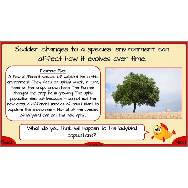 PlanBee Evolution and Inheritance KS2 | Year 6 Science by PlanBee