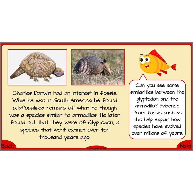 PlanBee Evolution and Inheritance KS2 | Year 6 Science by PlanBee