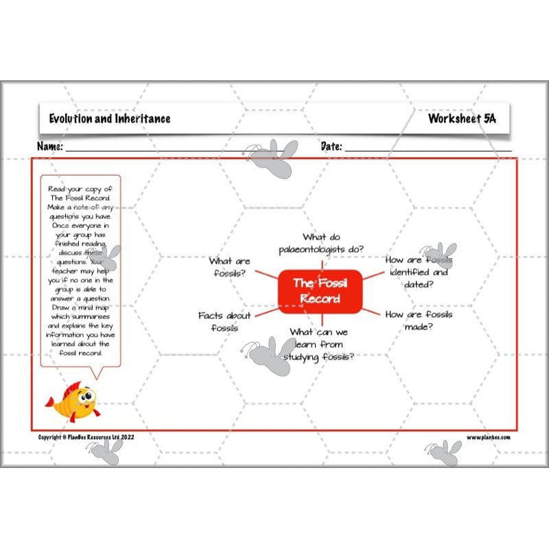 PlanBee Evolution and Inheritance KS2 | Year 6 Science by PlanBee