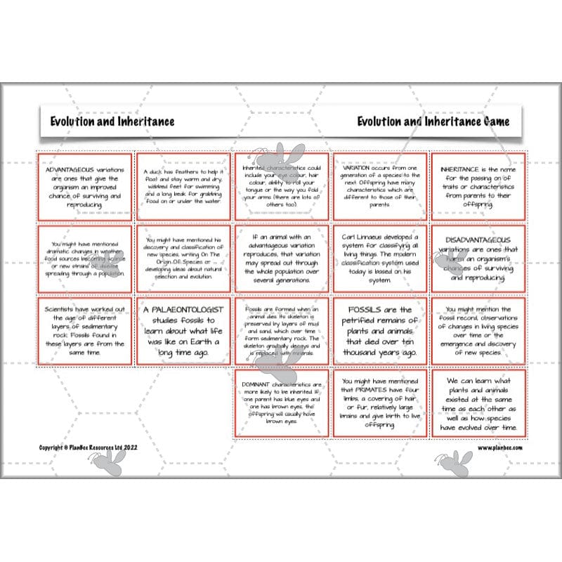 PlanBee Evolution and Inheritance KS2 | Year 6 Science by PlanBee