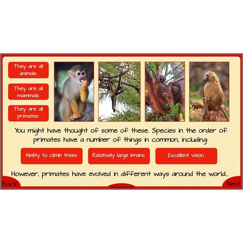 PlanBee Evolution and Inheritance KS2 | Year 6 Science by PlanBee