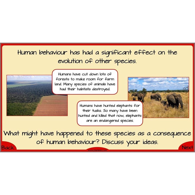 PlanBee Evolution and Inheritance KS2 | Year 6 Science by PlanBee