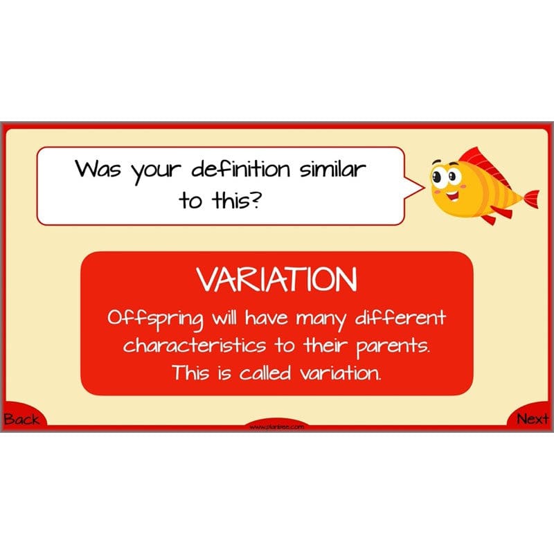 PlanBee Evolution and Inheritance KS2 | Year 6 Science by PlanBee