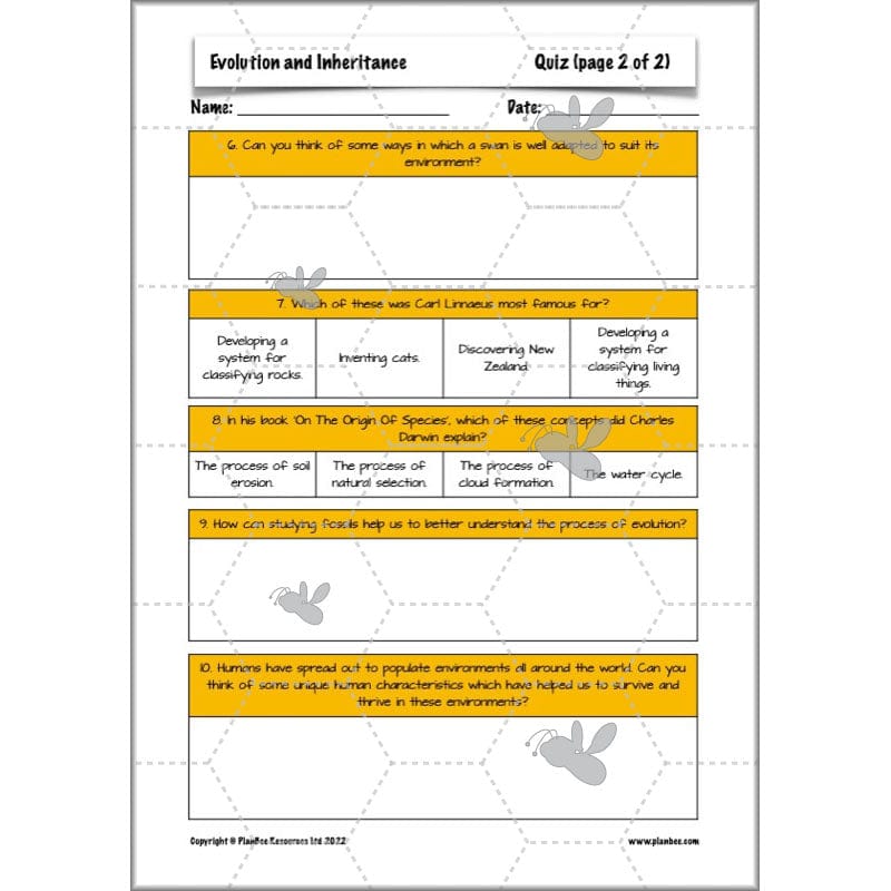 PlanBee Evolution and Inheritance KS2 | Year 6 Science by PlanBee