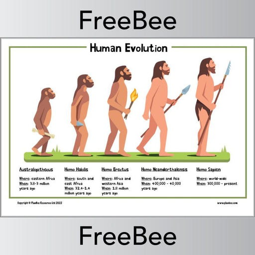 PlanBee FREE Evolution Poster by PlanBee