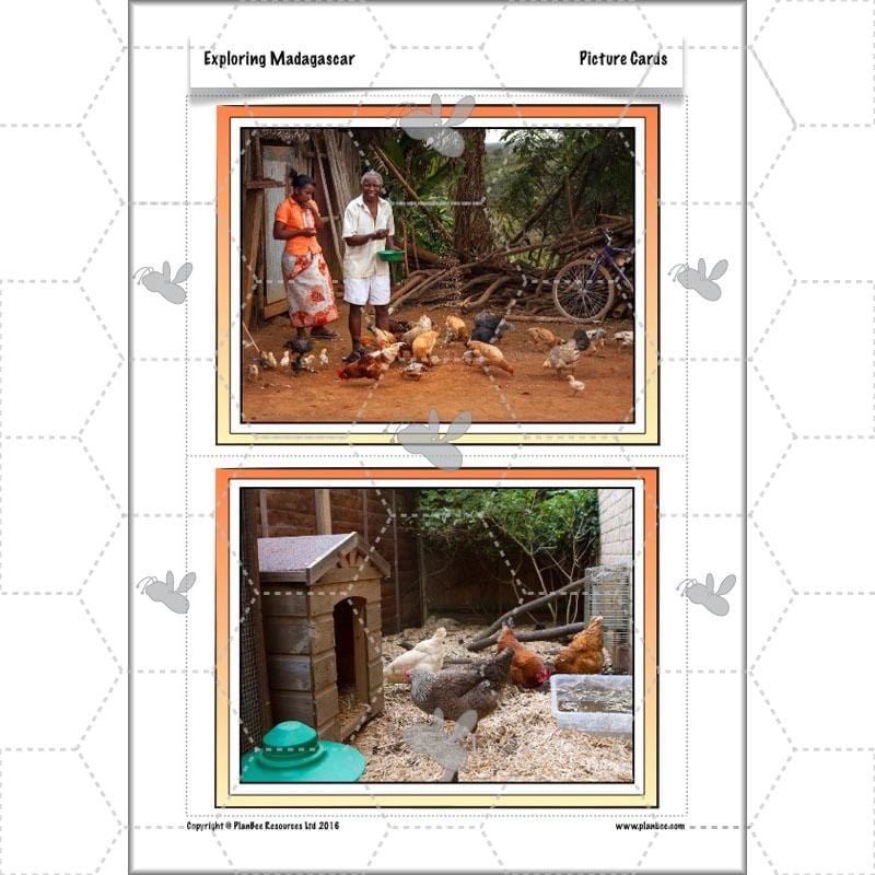 PlanBee Exploring Madagascar: LKS2 Year 3 & Year 4 set of Geography lessons