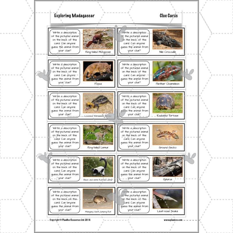PlanBee Exploring Madagascar: LKS2 Year 3 & Year 4 set of Geography lessons