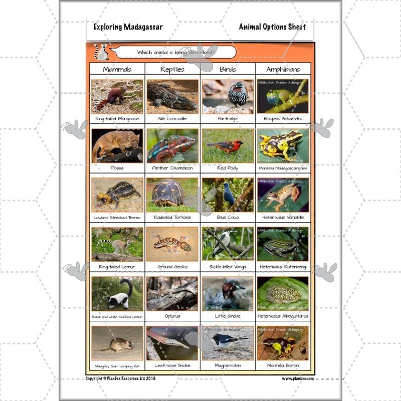 PlanBee Exploring Madagascar: LKS2 Year 3 & Year 4 set of Geography lessons