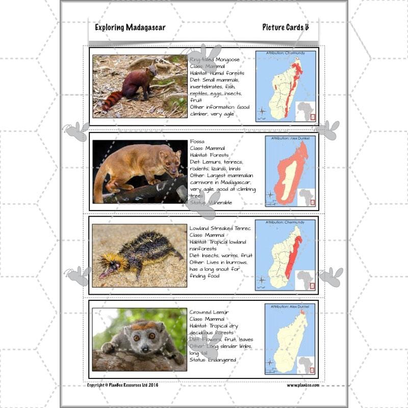 PlanBee Exploring Madagascar: LKS2 Year 3 & Year 4 set of Geography lessons