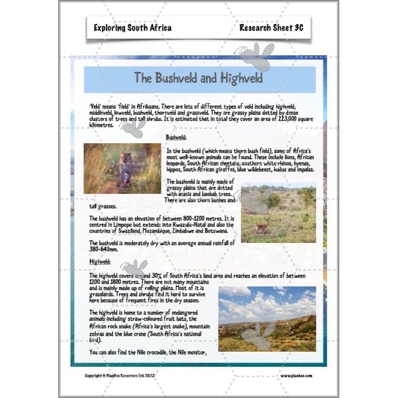 PlanBee Exploring South Africa KS2 Geography Planning Pack | PlanBee