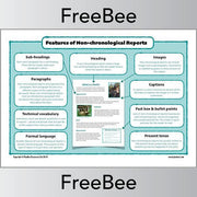 PlanBee Features of a Non-chronological Report Poster by PlanBee