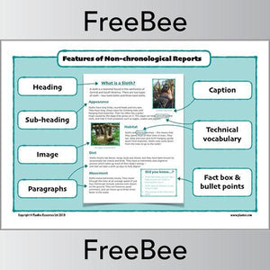 Features of a Non-chronological Report Poster by PlanBee