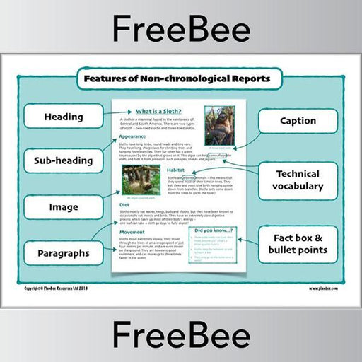 PlanBee Features of a Non-chronological Report Poster by PlanBee