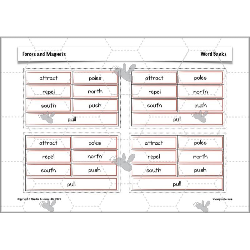 PlanBee Forces and Magnets Year 3 Forces Planning | PlanBee Science
