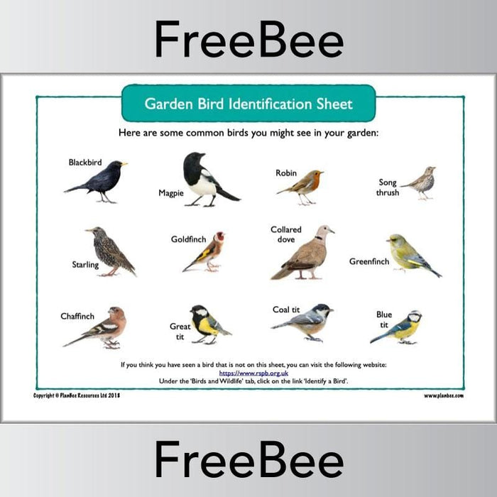 PlanBee Garden Bird Identification Sheet FREE from PlanBee
