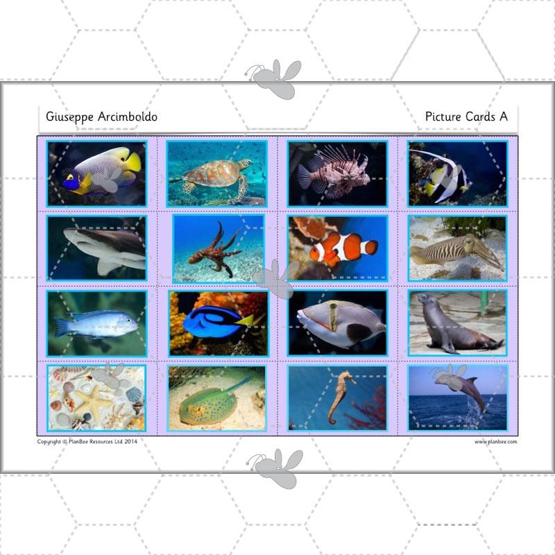 PlanBee Giuseppe Arcimboldo KS1 Art Lessons by PlanBee