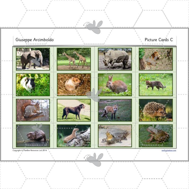 PlanBee Giuseppe Arcimboldo KS1 Art Lessons by PlanBee