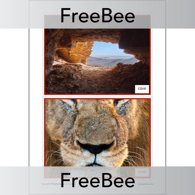 PlanBee Free We're Going on a Lion Hunt Display Pack by PlanBee