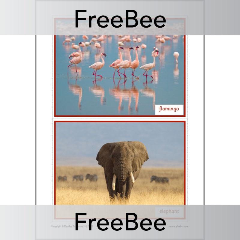 PlanBee Free We're Going on a Lion Hunt Display Pack by PlanBee