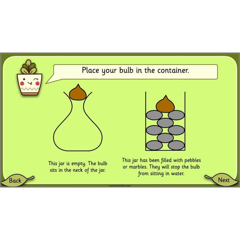 Growing Plants KS1 Plants Year 2 Science Resources PlanBee