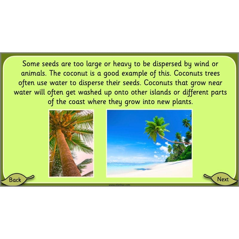 PlanBee Growing Plants KS1 Plants Year 2 Science Resources | PlanBee