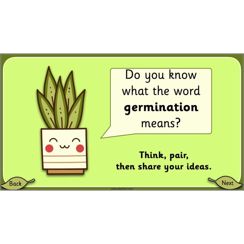 PlanBee Growing Plants KS1 Plants Year 2 Science Resources | PlanBee