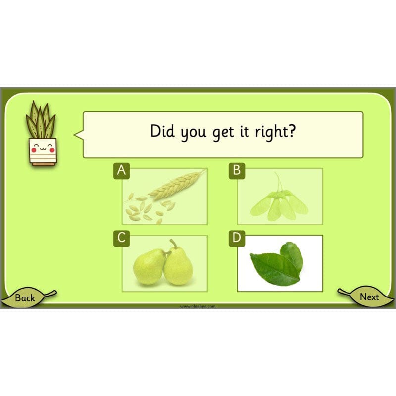 PlanBee Growing Plants KS1 Plants Year 2 Science Resources | PlanBee