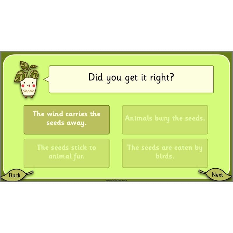 PlanBee Growing Plants KS1 Plants Year 2 Science Resources | PlanBee