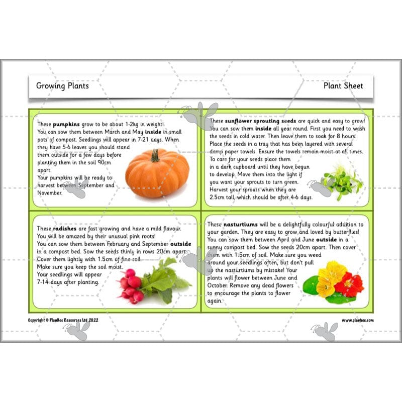 PlanBee Growing Plants KS1 Plants Year 2 Science Resources | PlanBee