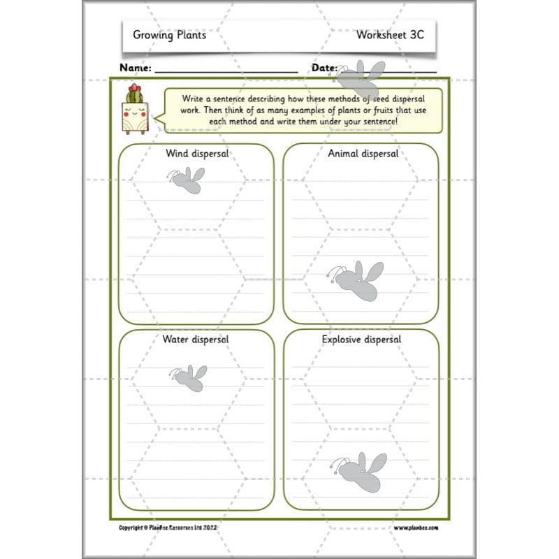 PlanBee Growing Plants KS1 Plants Year 2 Science Resources | PlanBee