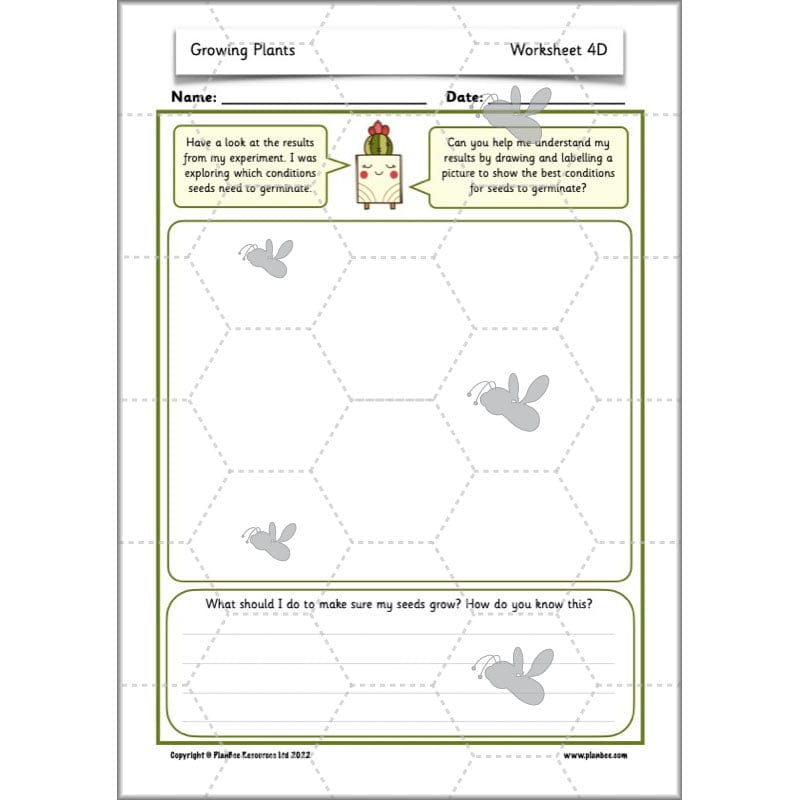 PlanBee Growing Plants KS1 Plants Year 2 Science Resources | PlanBee