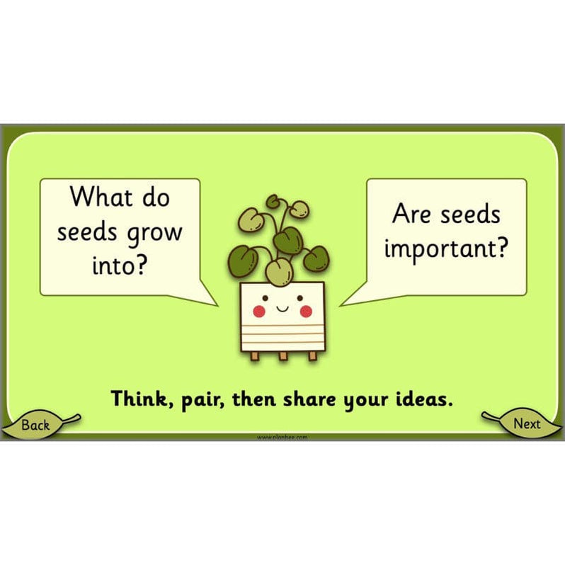 Growing Plants KS1 Plants Year 2 Science Resources PlanBee