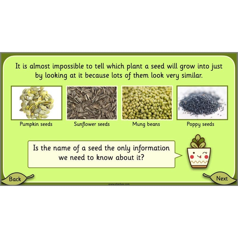 PlanBee Growing Plants KS1 Plants Year 2 Science Resources | PlanBee