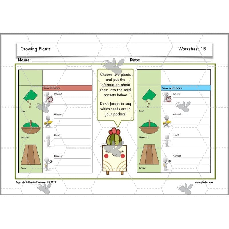 PlanBee Growing Plants KS1 Plants Year 2 Science Resources | PlanBee