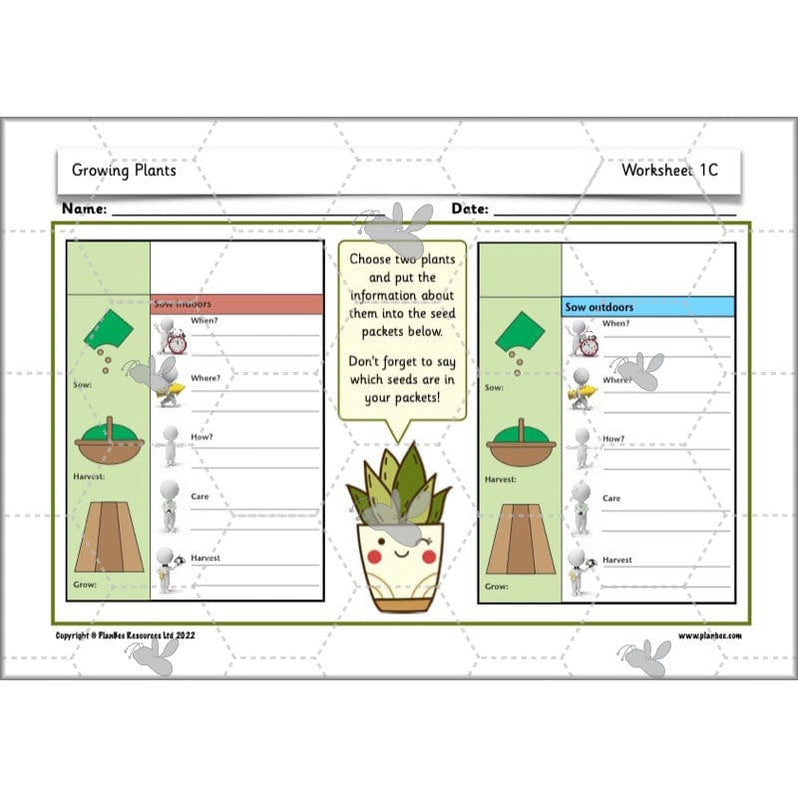 Growing Plants KS1 Plants Year 2 Science Resources PlanBee