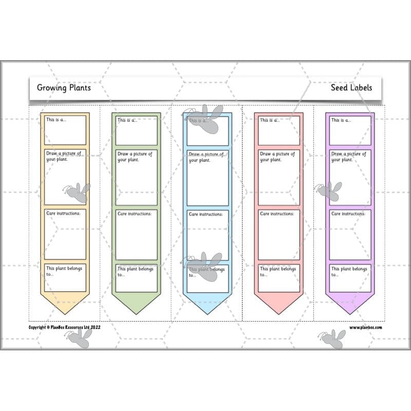 PlanBee Growing Plants KS1 Plants Year 2 Science Resources | PlanBee