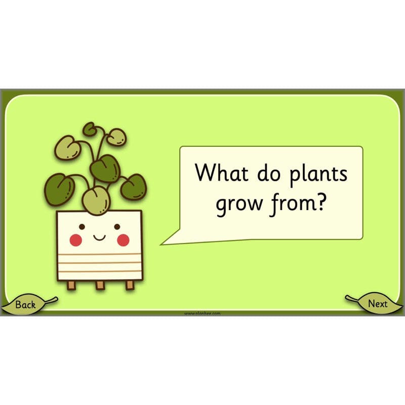 PlanBee Growing Plants KS1 Plants Year 2 Science Resources | PlanBee