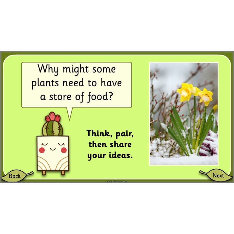 PlanBee Growing Plants KS1 Plants Year 2 Science Resources | PlanBee