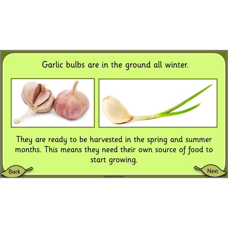PlanBee Growing Plants KS1 Plants Year 2 Science Resources | PlanBee