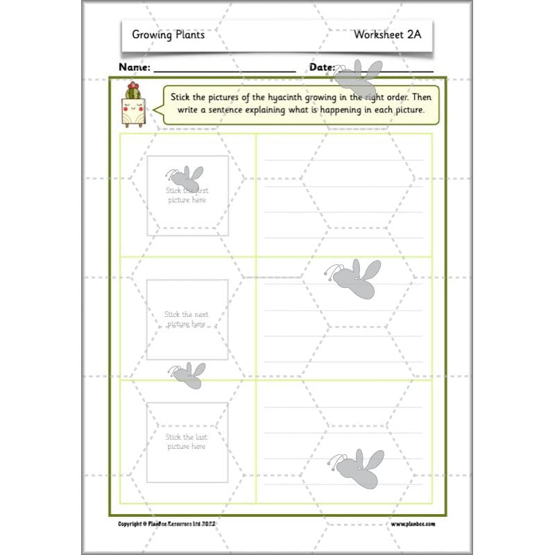 PlanBee Growing Plants KS1 Plants Year 2 Science Resources | PlanBee