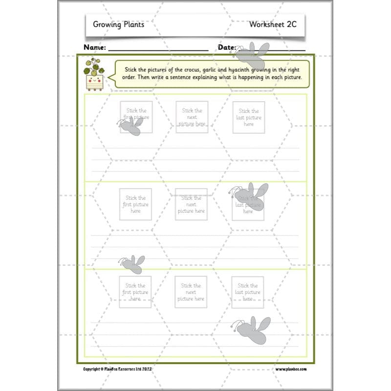 PlanBee Growing Plants KS1 Plants Year 2 Science Resources | PlanBee