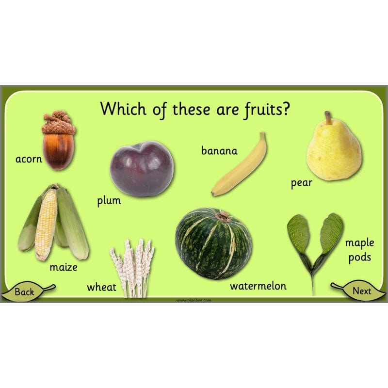 PlanBee Growing Plants KS1 Plants Year 2 Science Resources | PlanBee