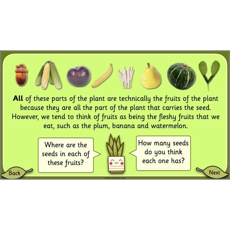 PlanBee Growing Plants KS1 Plants Year 2 Science Resources | PlanBee