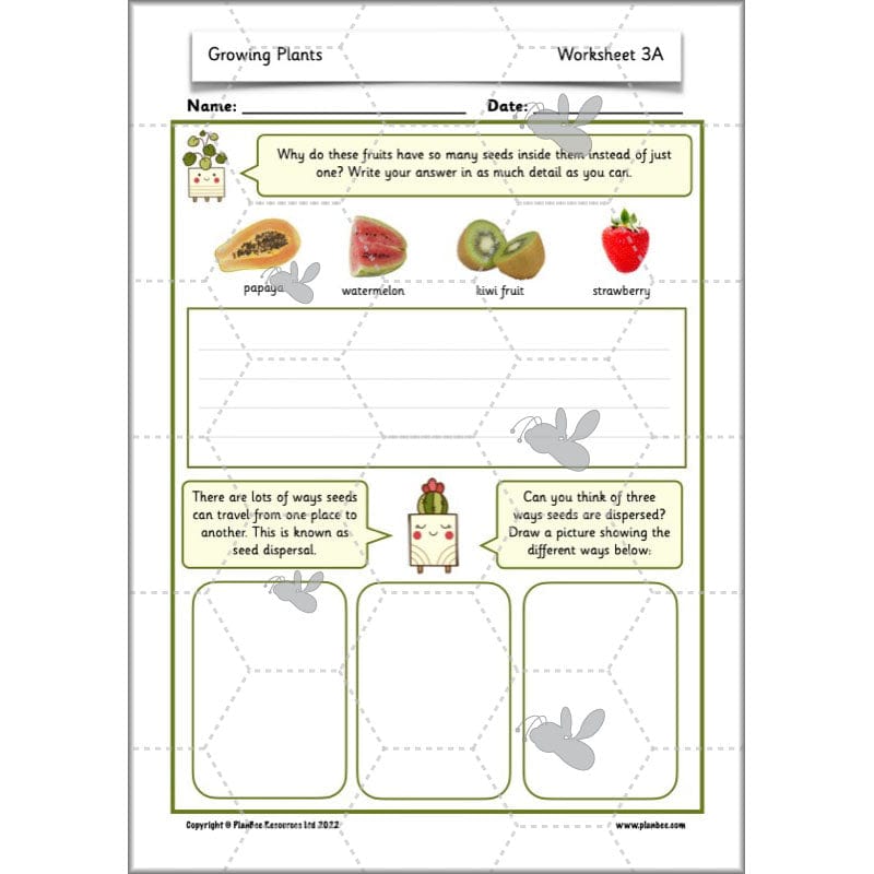 PlanBee Growing Plants KS1 Plants Year 2 Science Resources | PlanBee