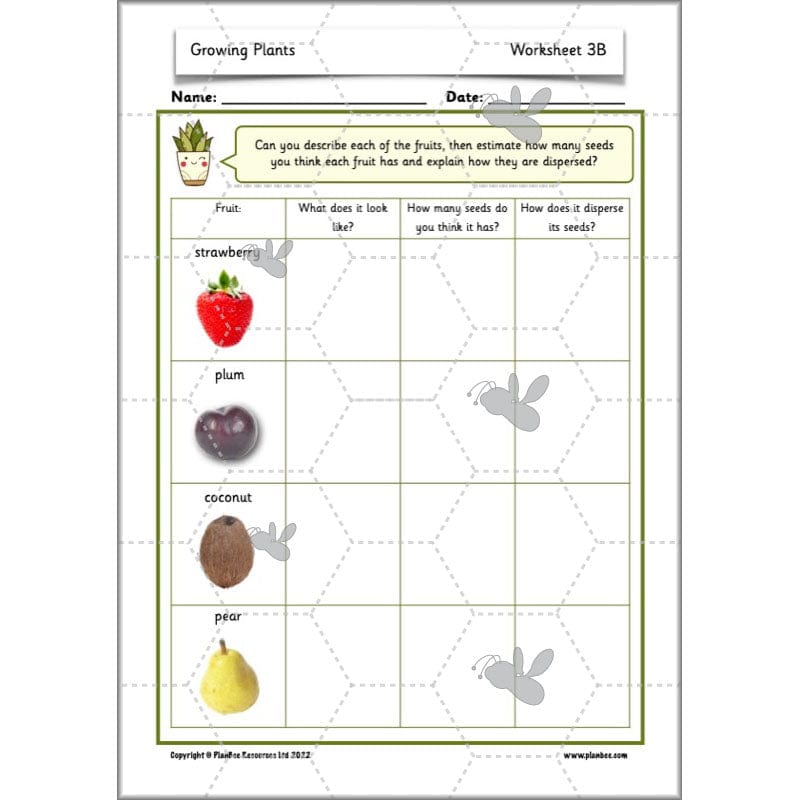 PlanBee Growing Plants KS1 Plants Year 2 Science Resources | PlanBee