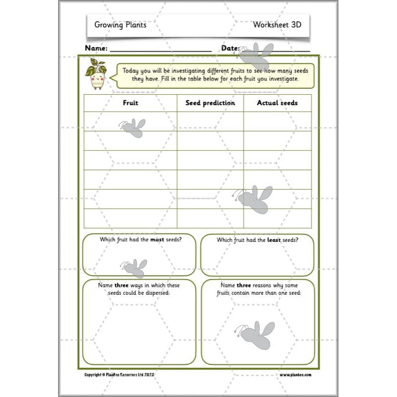 PlanBee Growing Plants KS1 Plants Year 2 Science Resources | PlanBee