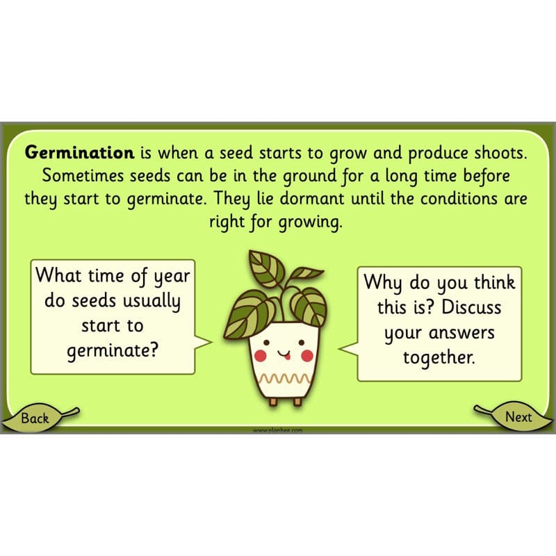 PlanBee Growing Plants KS1 Plants Year 2 Science Resources | PlanBee