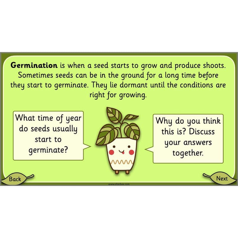 Growing Plants KS1 Plants Year 2 Science Resources PlanBee